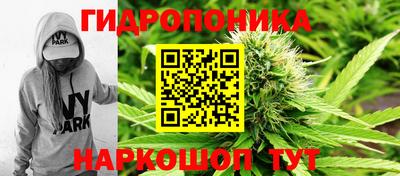 мдпв Гай