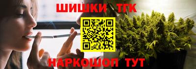 СК Гагарин