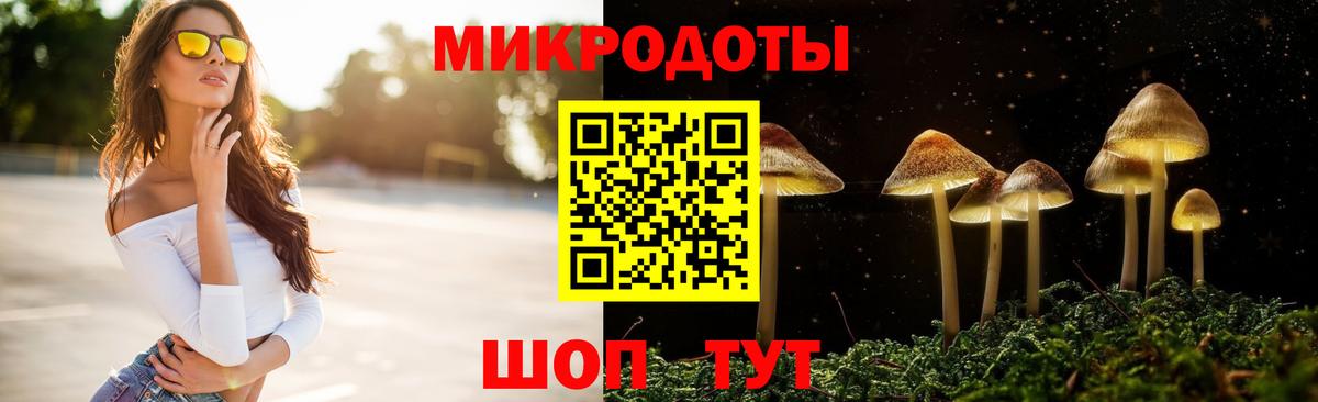 Тулун  Псилоцибиновые грибы Psilocybine cubensis  Вход с VPN  Галлюциногенные грибы прущие грибы 